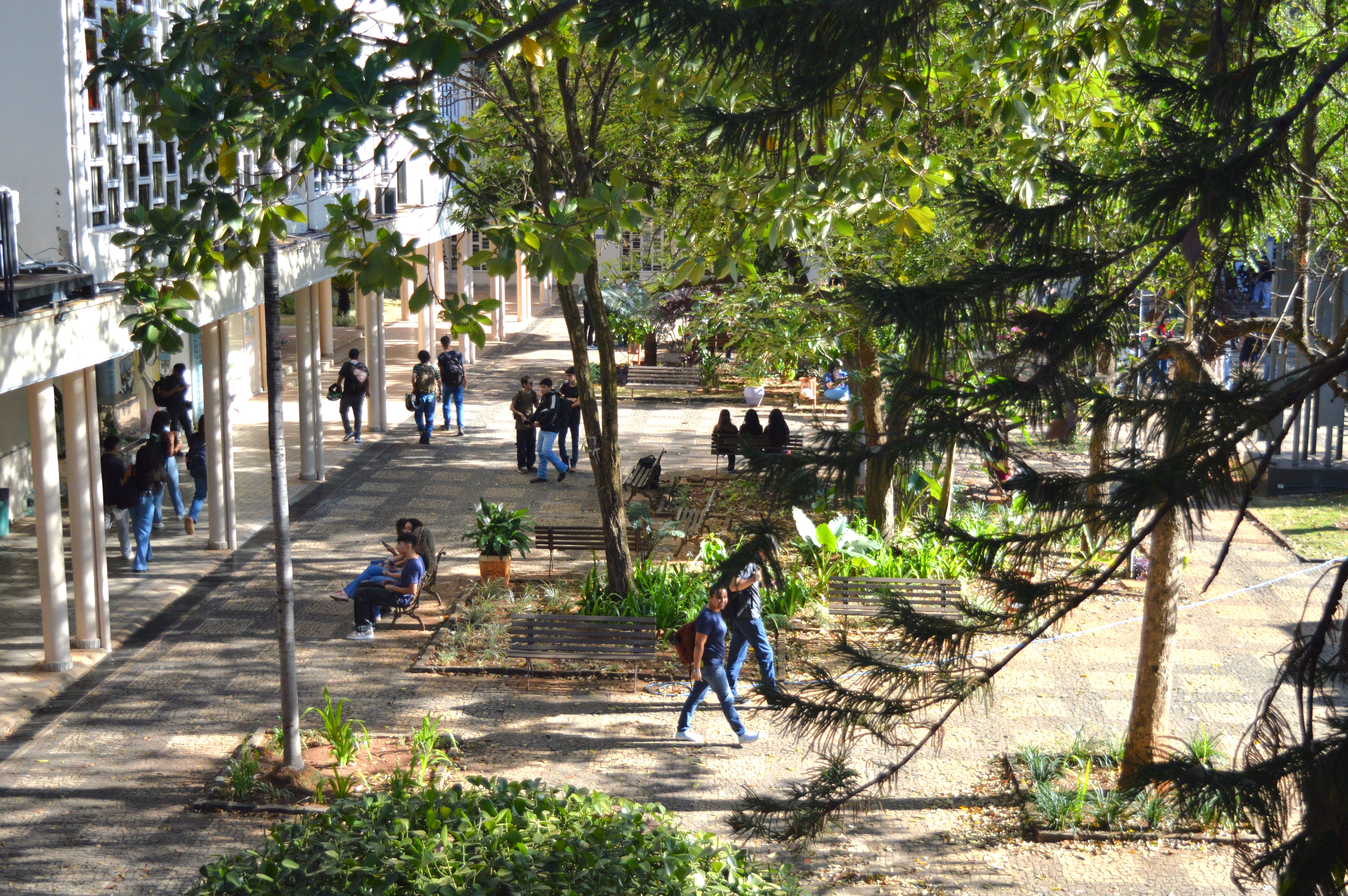 Início das aulas na manhã desta segunda-feira, 17 de agosto, no Câmpus Goiânia do IFG.